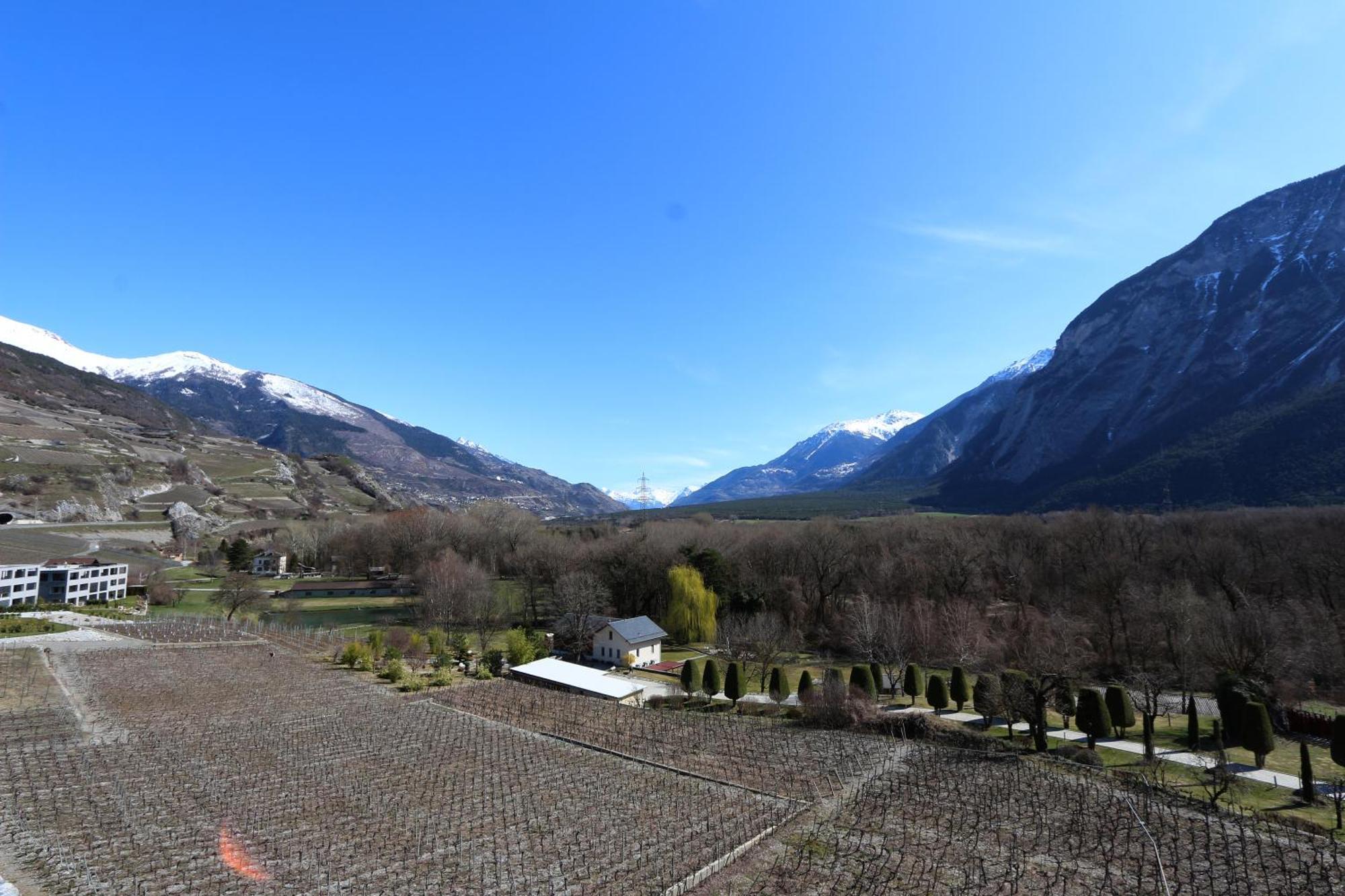 Bnb Vino Veritas Salgesch Exteriör bild