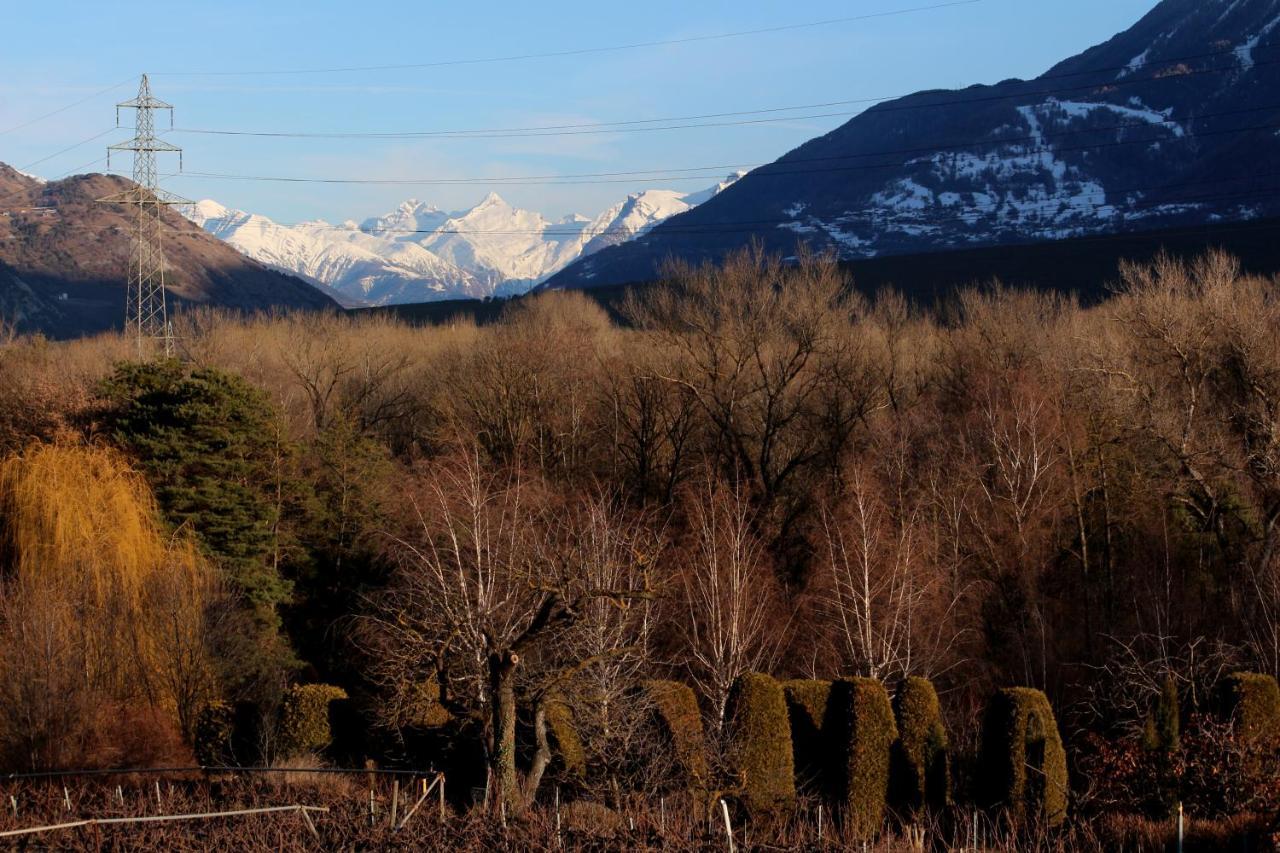 Bnb Vino Veritas Salgesch Exteriör bild