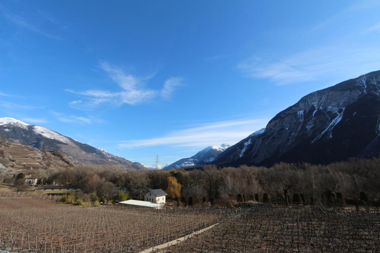 Bnb Vino Veritas Salgesch Exteriör bild